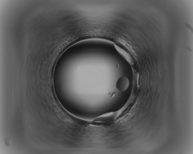X0000091900673200709051403