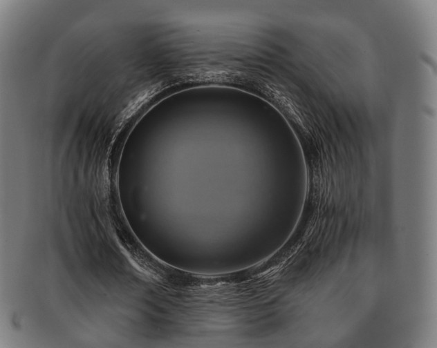 X0000091900674200709051403