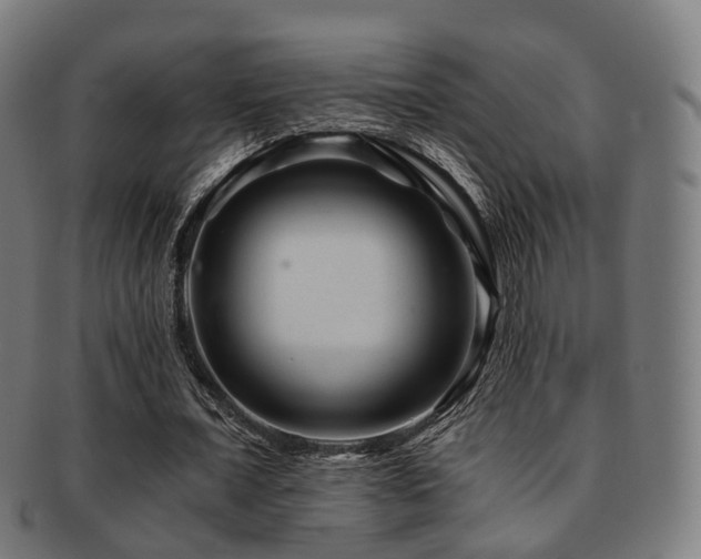 X0000091900675200709051403