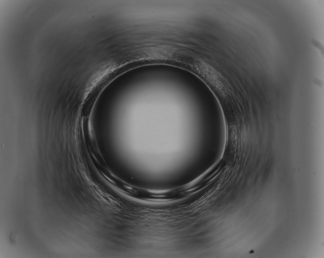 X0000091900676200709051403