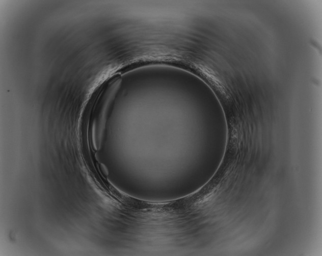X0000091900678200709051403