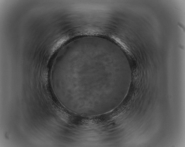 X0000091900679200709051403