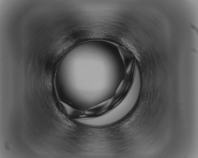 X0000091900681200709051403