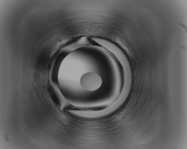 X0000091900685200709051403