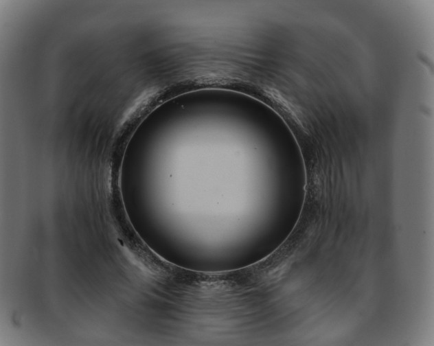 X0000091900686200709051403