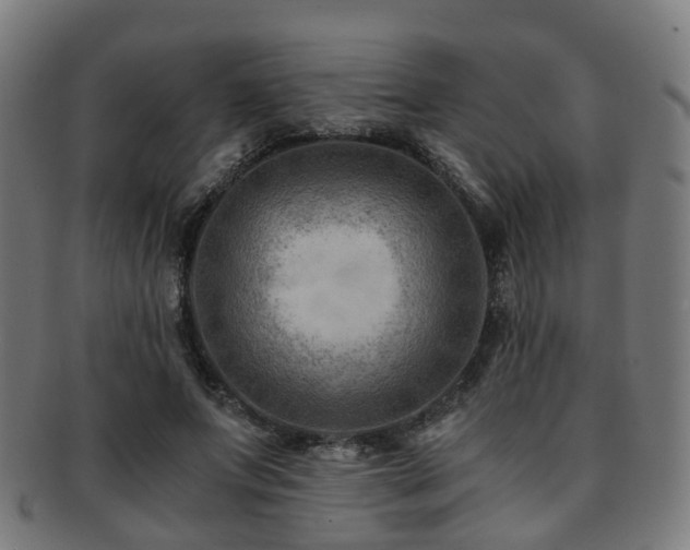 X0000091900687200709051403