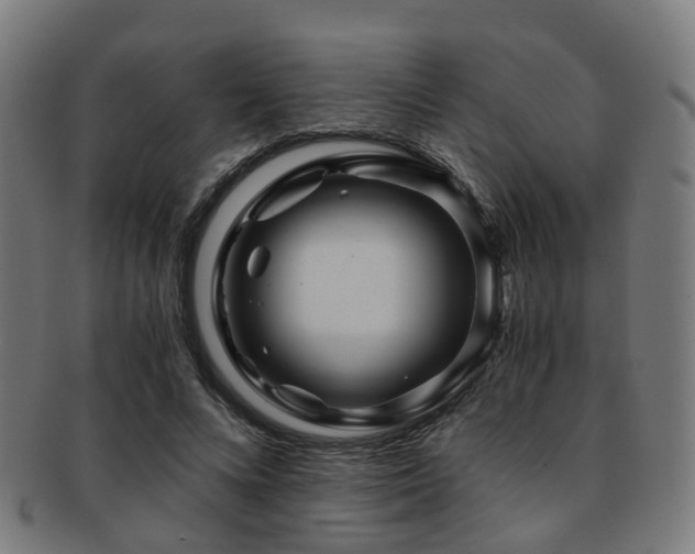 X0000091900688200709051403
