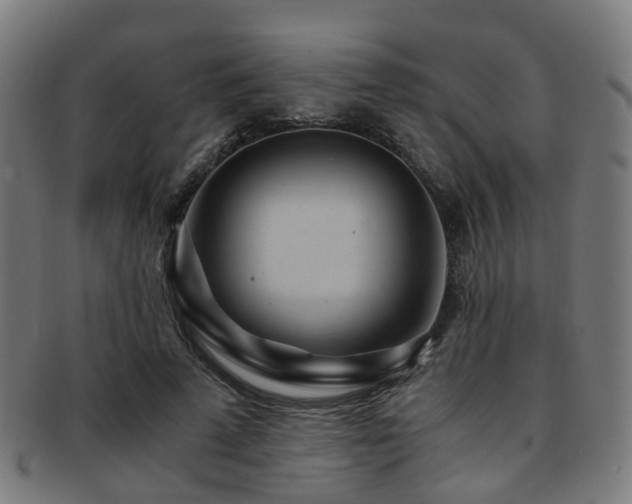 X0000091900689200709051403