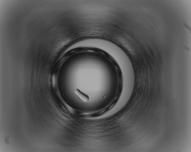 X0000091900692200709051403