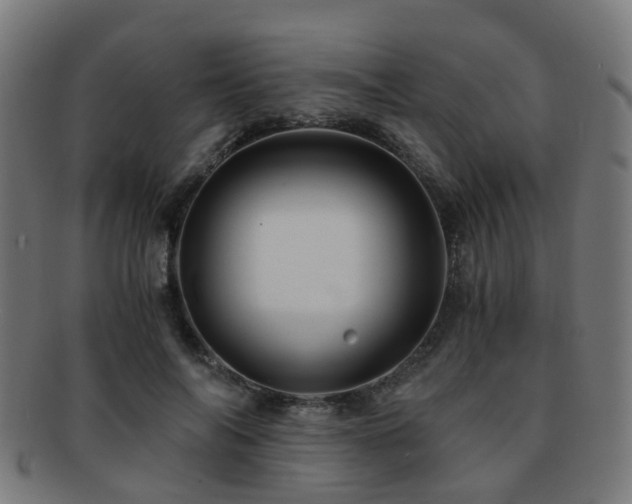 X0000091900694200709051403