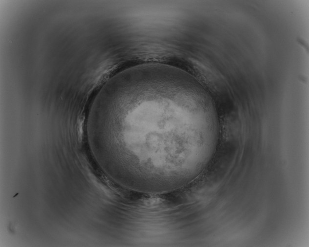 X0000091900695200709051403