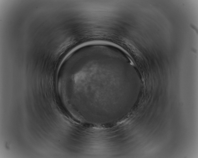 X0000091900696200709051403