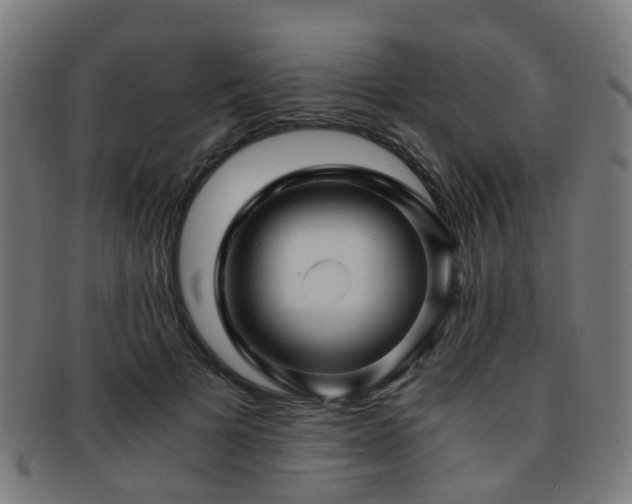 X0000091900697200709051403