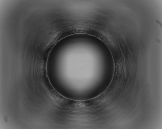 X0000091900698200709051403