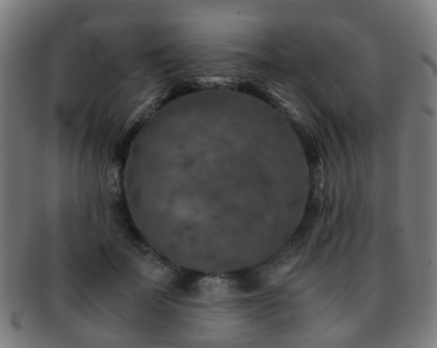 X0000091900699200709051403