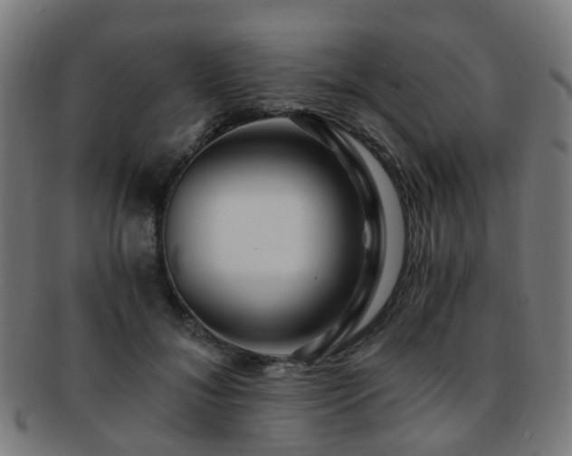 X0000091900700200709051403