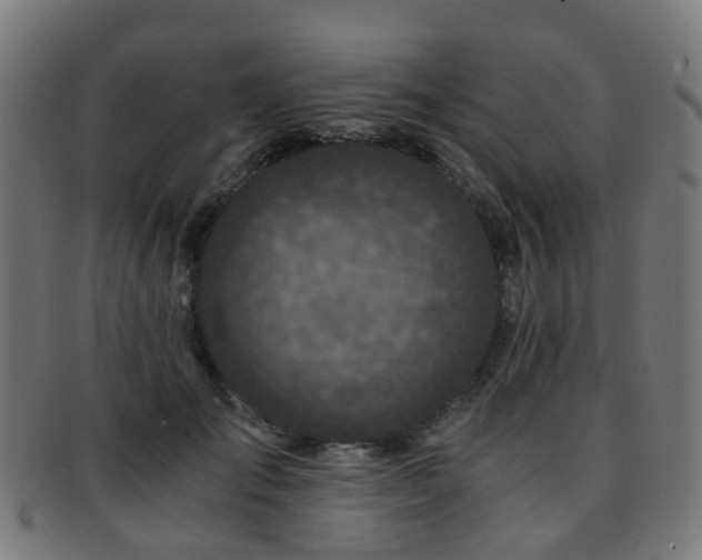 X0000091900701200709051403