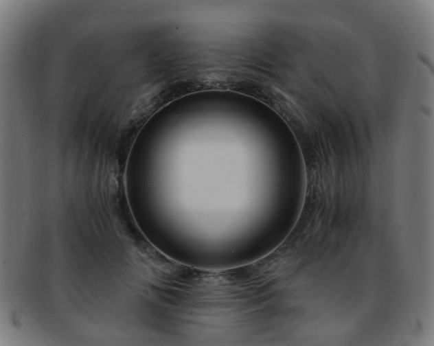 X0000091900702200709051403