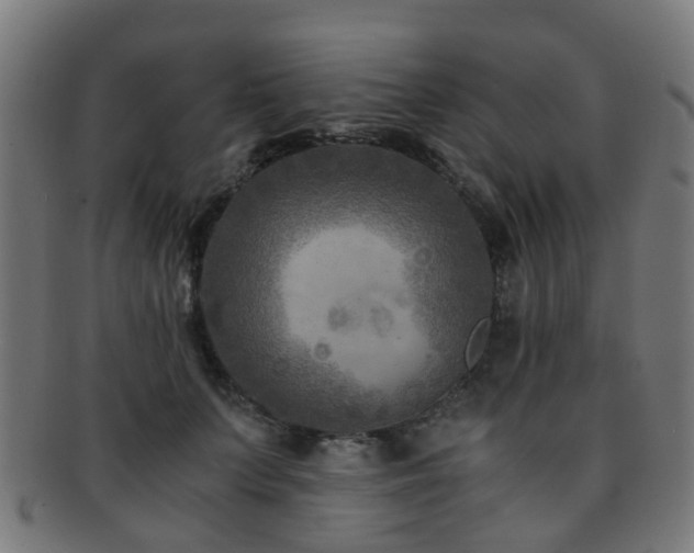 X0000091900703200709051403
