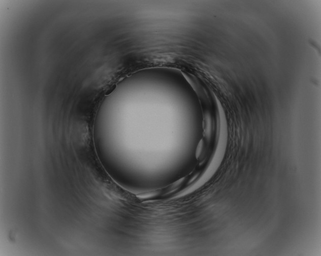 X0000091900704200709051403
