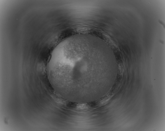 X0000091900705200709051403