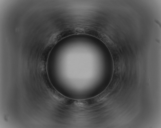 X0000091900706200709051403