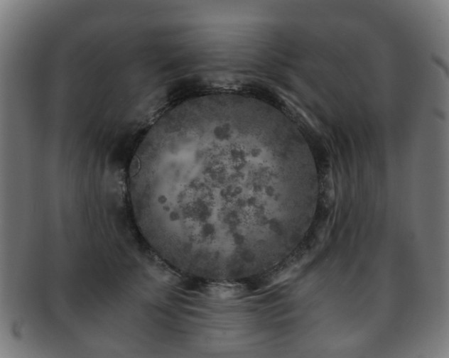X0000091900707200709051403