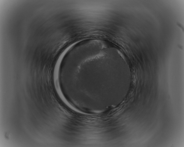 X0000091900708200709051403