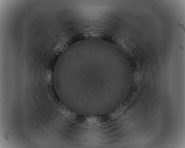 X0000091900709200709051403