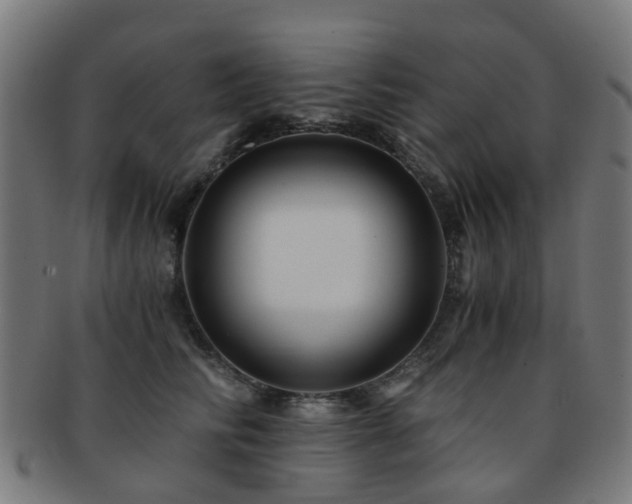 X0000091900710200709051403