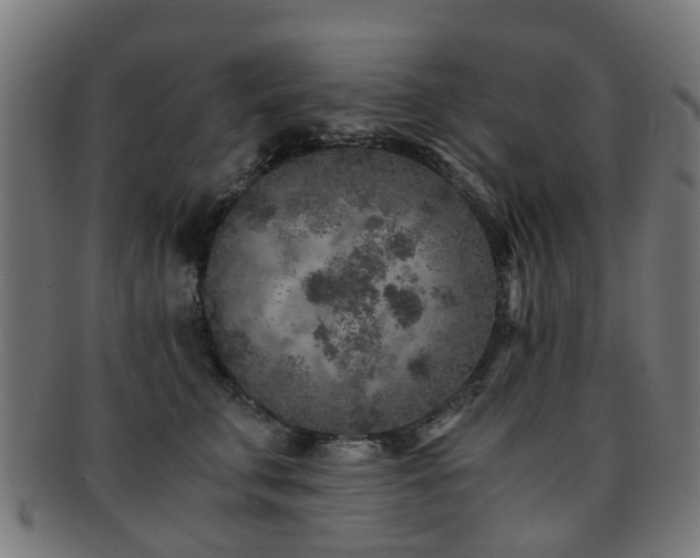 X0000091900711200709051403