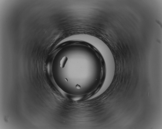 X0000091900712200709051403
