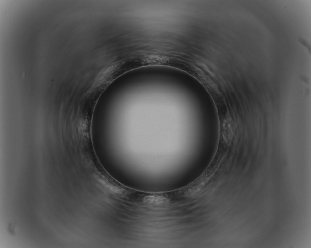 X0000091900714200709051403