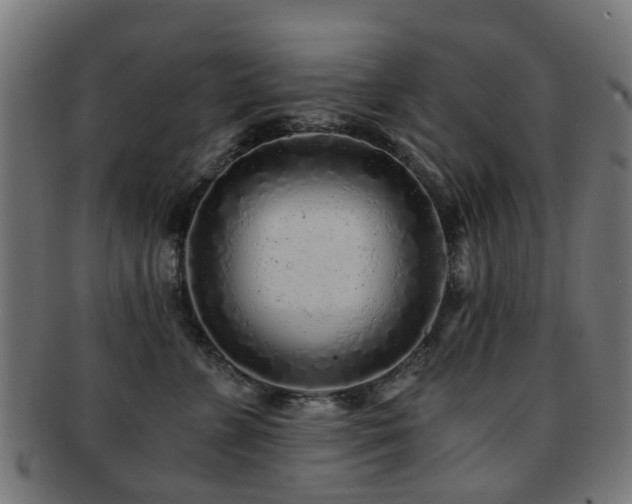 X0000091900715200709051403