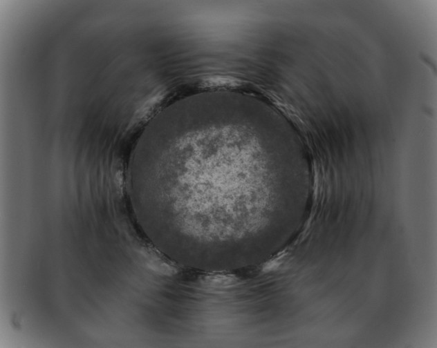 X0000091900716200709051403