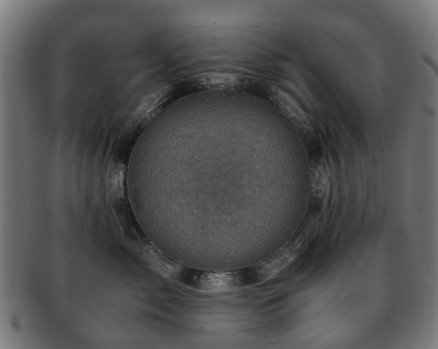 X0000091900717200709051403
