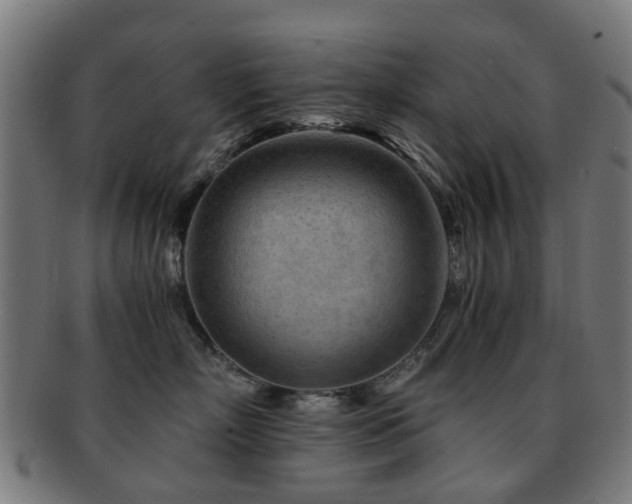 X0000091900718200709051403