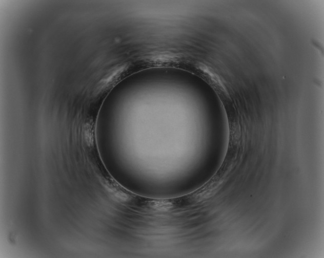 X0000091900719200709051403