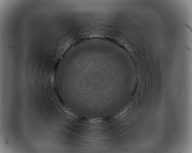 X0000091900720200709051403