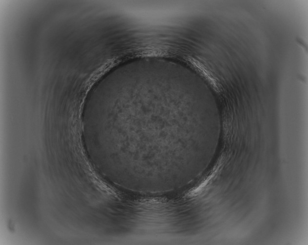 X0000091900721200709051402