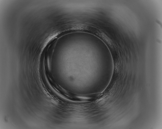 X0000091900724200709051402