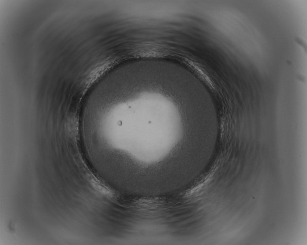 X0000091900725200709051402