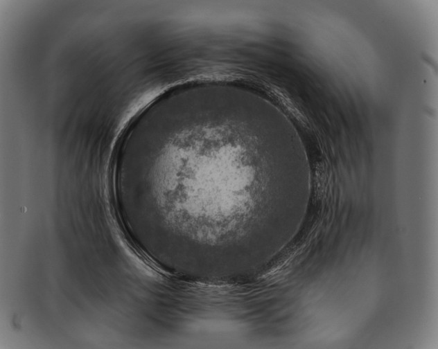 X0000091900726200709051402
