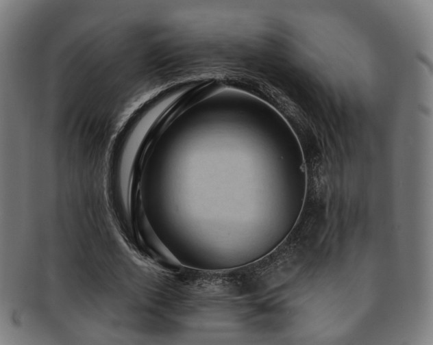 X0000091900728200709051402