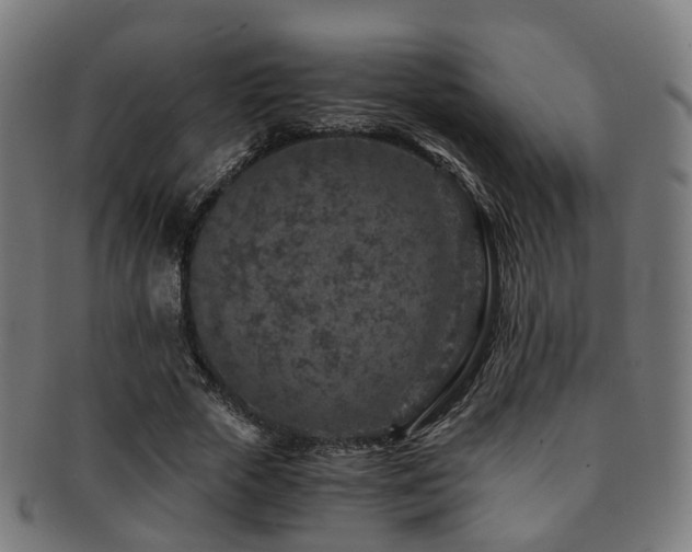 X0000091900729200709051402