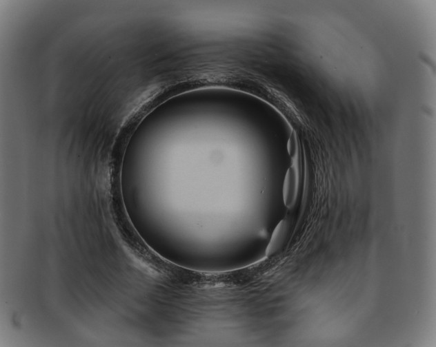X0000091900730200709051402