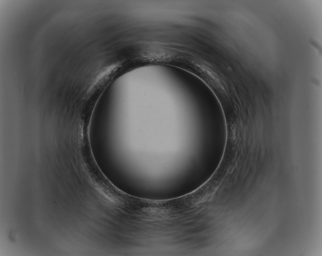 X0000091900733200709051402