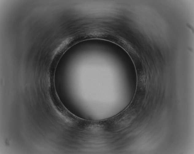 X0000091900734200709051402