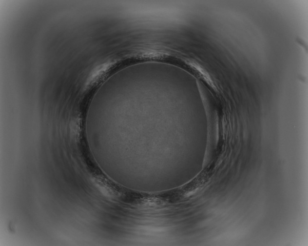 X0000091900736200709051402