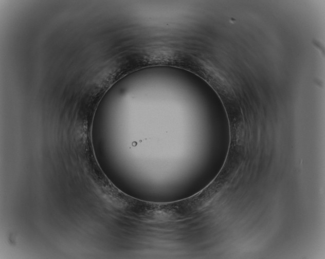 X0000091900737200709051402